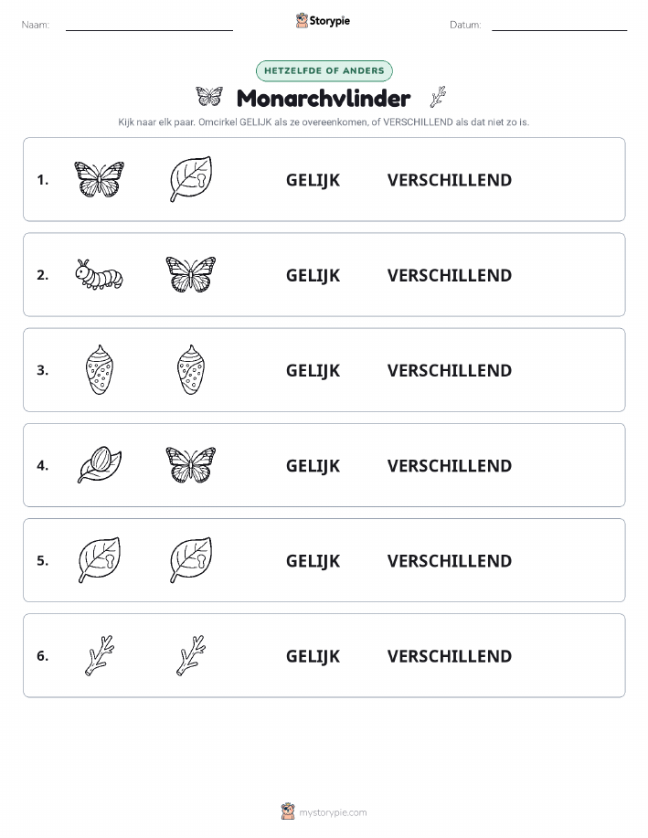 Zelfde of Verschillend