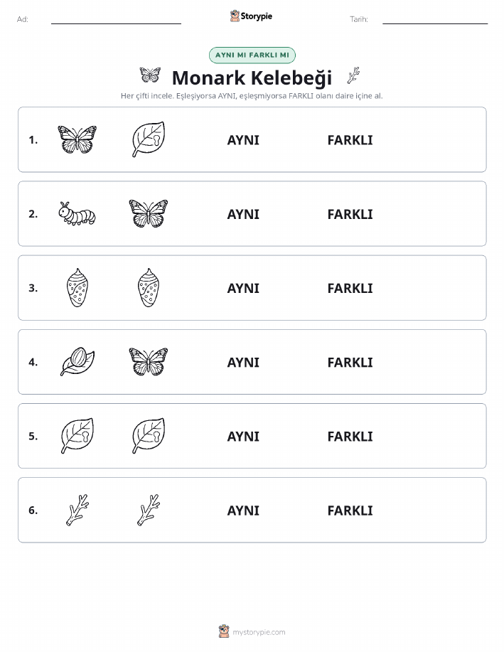 Aynı mı Farklı mı