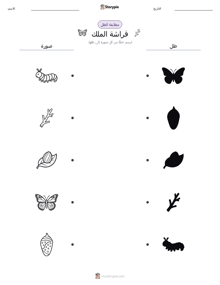 مطابقة الظل