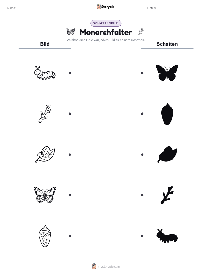 Schattenmatch
