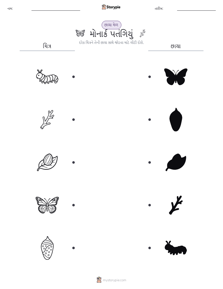 શેડો મેચ