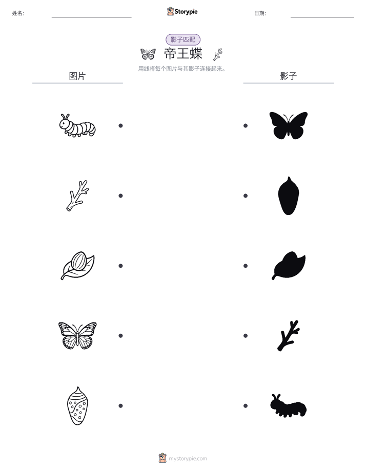 影子匹配