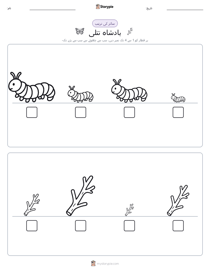 سائز کی ترتیب