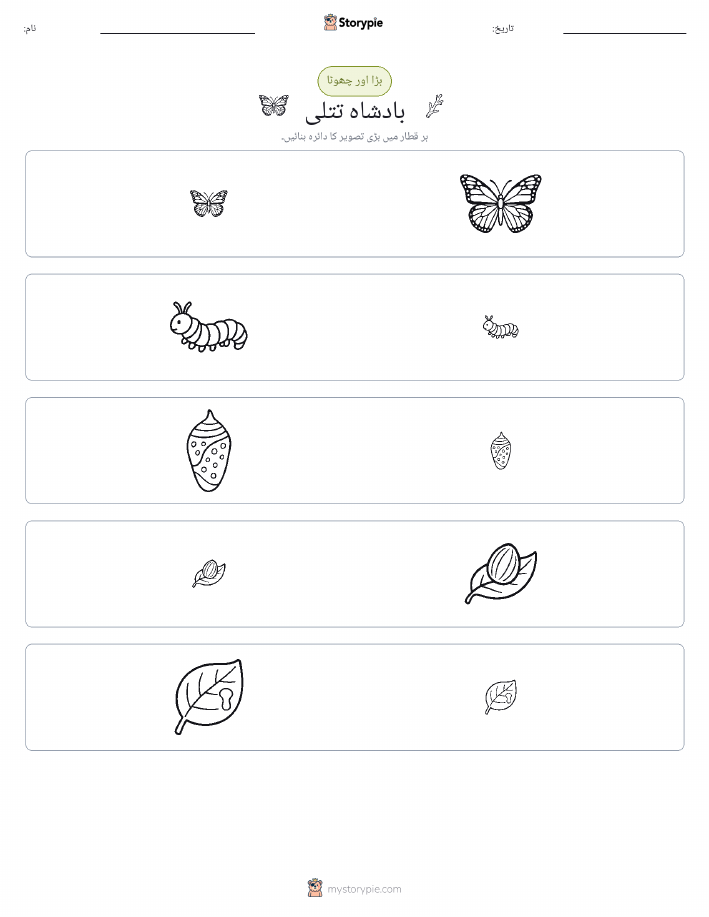 ترتیب دینا