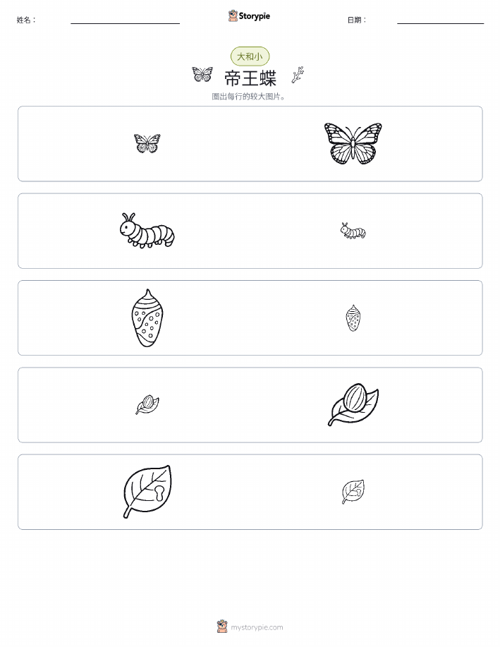 分类