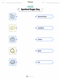 Spotted Eagle Ray printable worksheet for kids