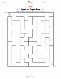 Spotted Eagle Ray printable worksheet preview