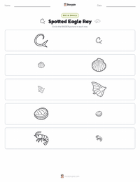 Spotted Eagle Ray printable worksheet preview