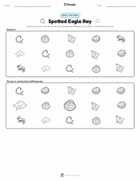 Spotted Eagle Ray printable worksheet preview