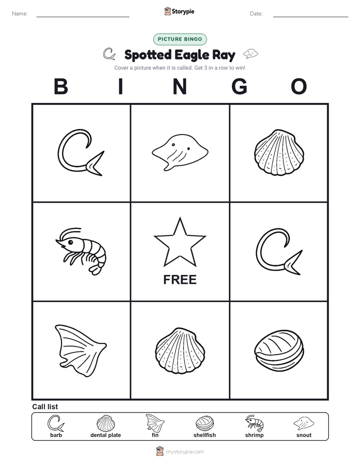 Picture Bingo