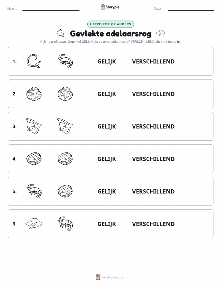 Zelfde of Verschillend