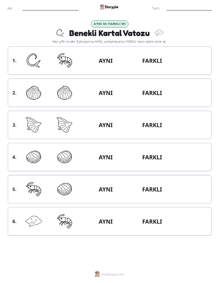 Aynı mı Farklı mı