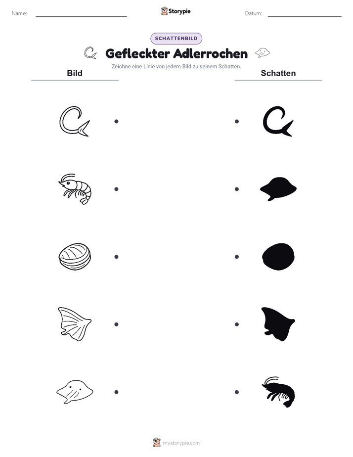 Schattenmatch