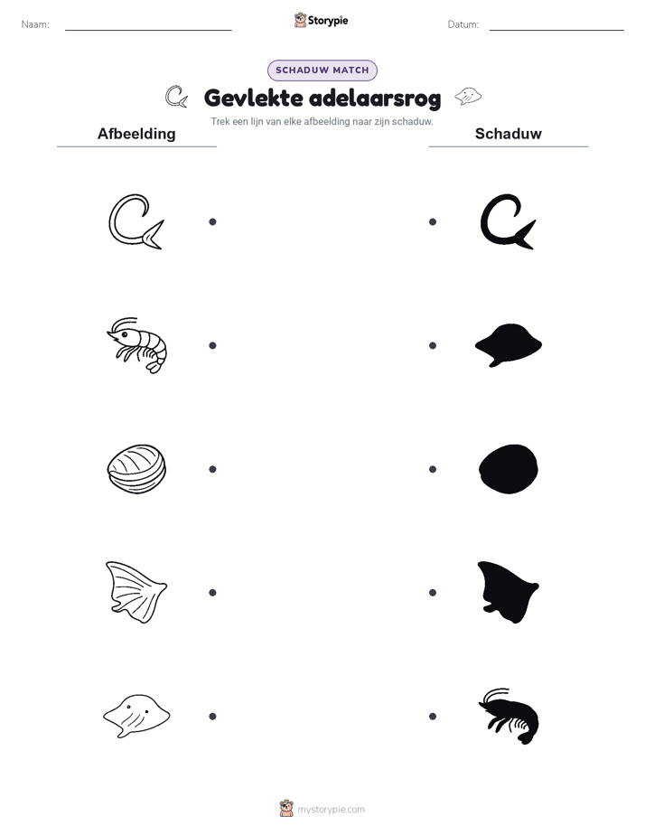 Schaduw Match