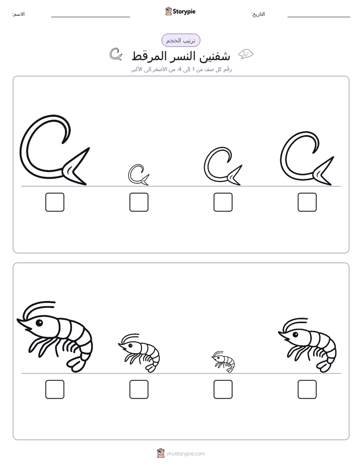 ترتيب الحجم