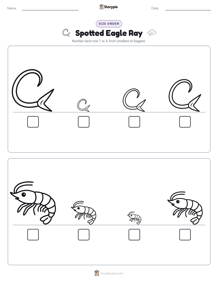 Size Order