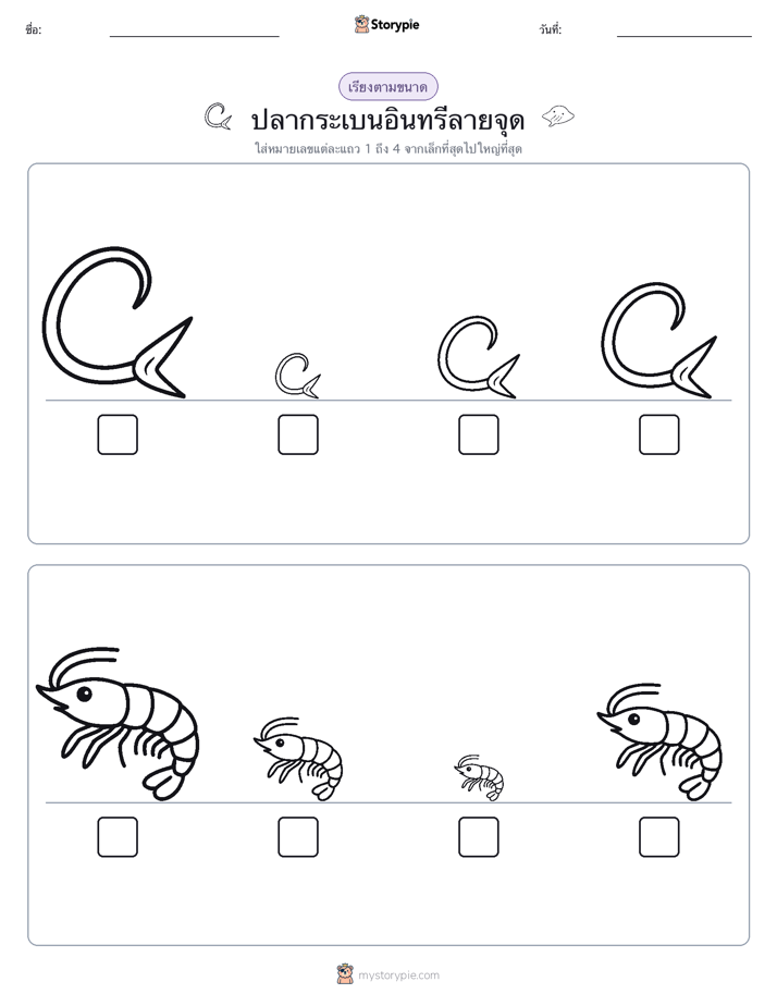 ลำดับขนาด
