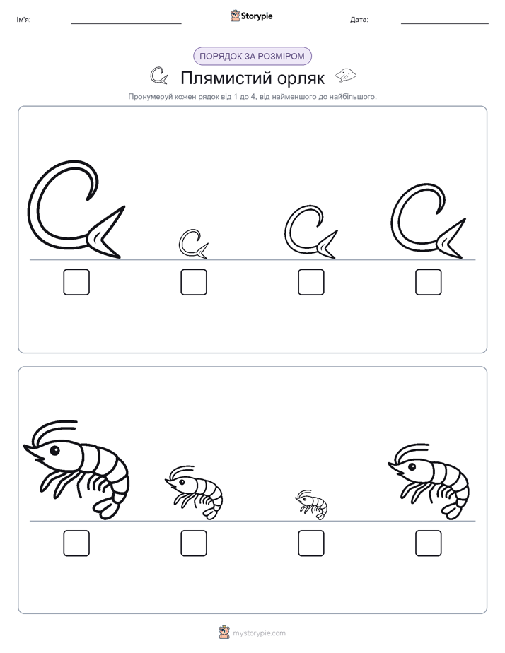 Порядок Розміру