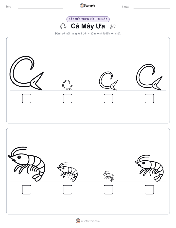 Thứ Tự Kích Thước