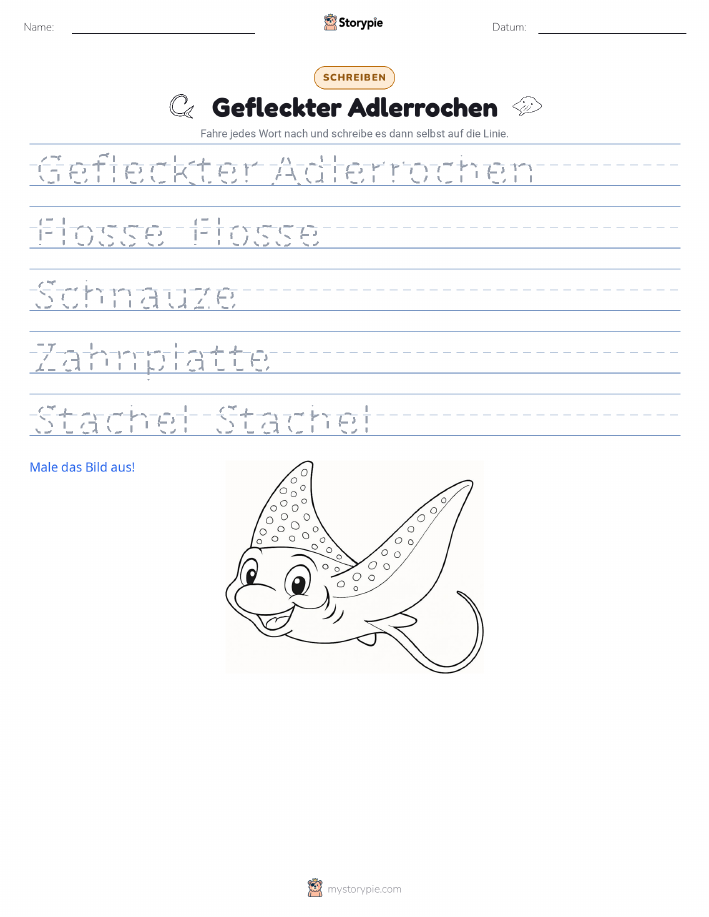 Schreibübung