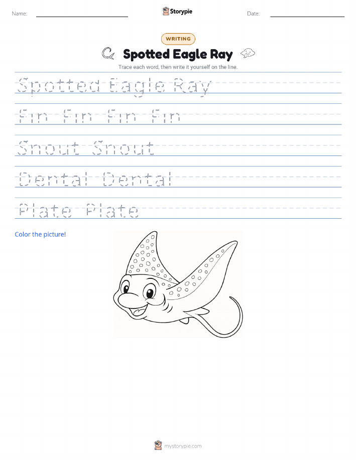 Writing Practice