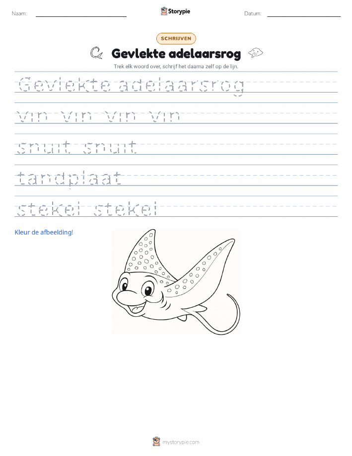 Schrijf Oefening