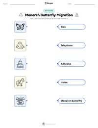 Monarch Butterfly Migration printable worksheet for kids
