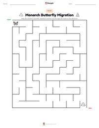 Monarch Butterfly Migration printable worksheet preview