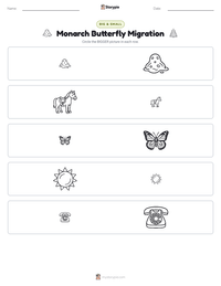 Monarch Butterfly Migration printable worksheet preview