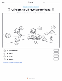 Podgląd drukowalnego arkusza ćwiczeń Ośmiornica olbrzymia