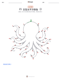 北太平洋巨型章鱼 可打印工作表预览