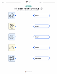 Giant Pacific Octopus printable worksheet for kids