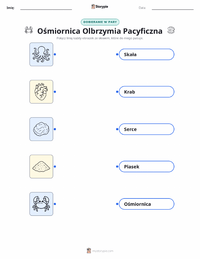 Drukowalny arkusz ćwiczeń Ośmiornica olbrzymia dla dzieci