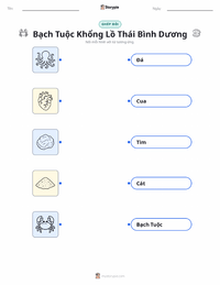 Tài liệu in sẵn Bạch tuộc khổng lồ Thái Bình Dương cho trẻ em