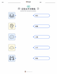 北太平洋巨型章鱼 可打印工作表，适合儿童