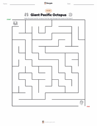 Giant Pacific Octopus printable worksheet preview