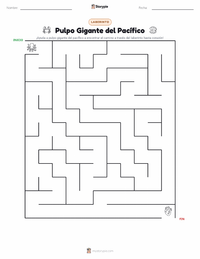 Vista previa de la hoja de trabajo imprimible de Pulpo Gigante del Pacífico