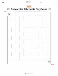 Podgląd drukowalnego arkusza ćwiczeń Ośmiornica olbrzymia