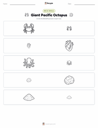 Giant Pacific Octopus printable worksheet preview