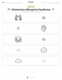 Podgląd drukowalnego arkusza ćwiczeń Ośmiornica olbrzymia