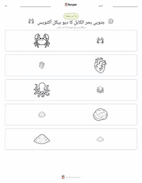 عظیم بحرالکاہل کا آکٹوپس پرنٹ کرنے کے قابل ورکشیٹ کا پیش نظارہ