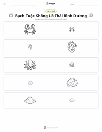 Xem trước tài liệu in sẵn Bạch tuộc khổng lồ Thái Bình Dương