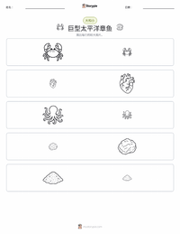 北太平洋巨型章鱼 可打印工作表预览