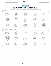 Giant Pacific Octopus printable worksheet preview