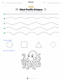 Giant Pacific Octopus printable worksheet preview