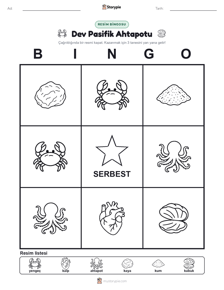 Resim Bingo