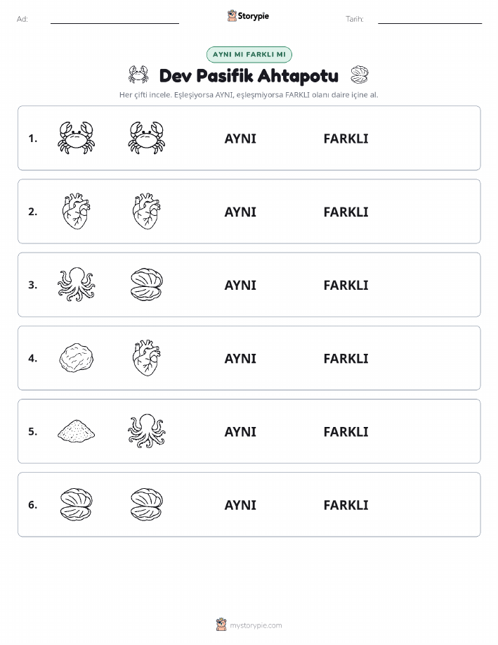 Aynı mı Farklı mı