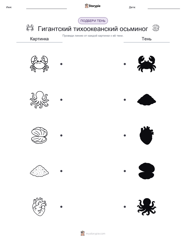 Сопоставление теней