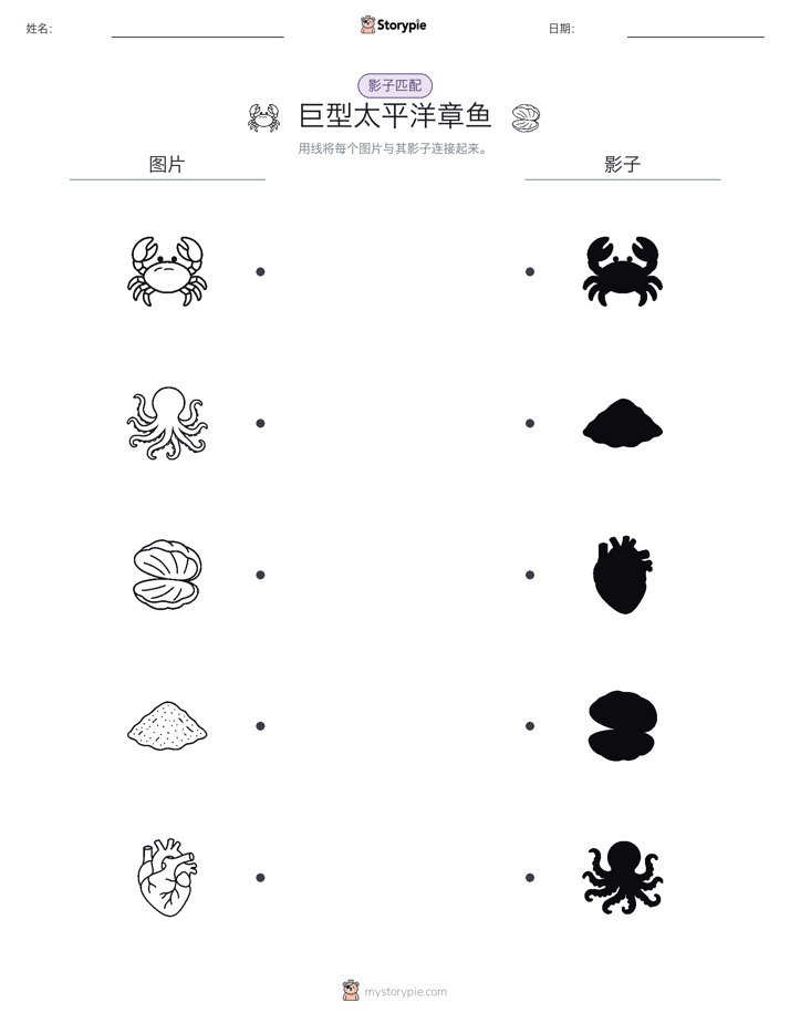 影子匹配