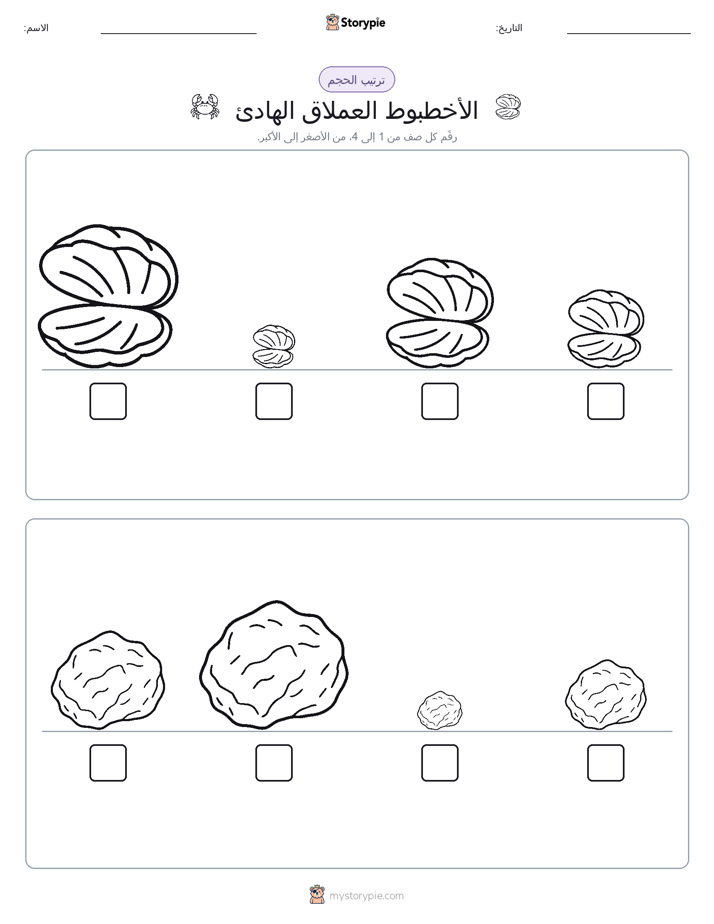 ترتيب الحجم